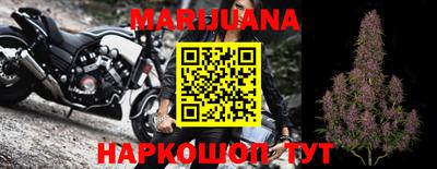 стаф Шахты