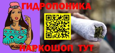 стаф Шахты