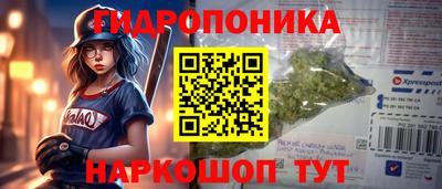 стаф Шахты