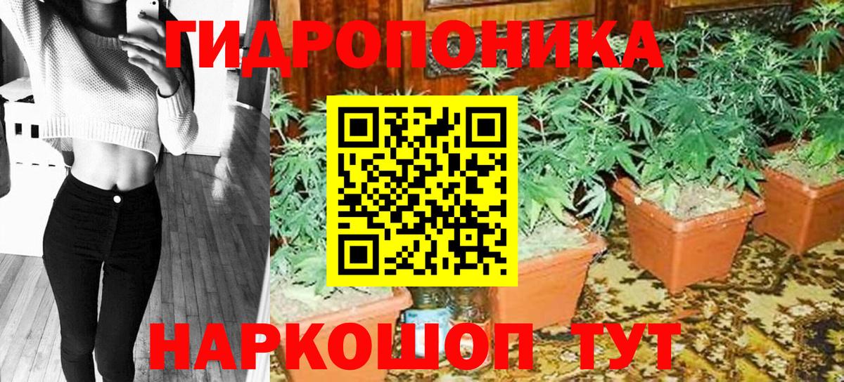 Марихуана OG Kush Белгород